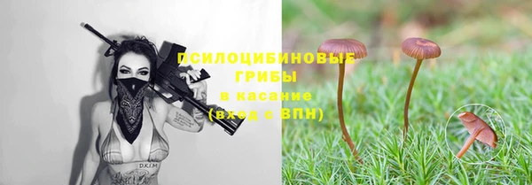 тгк Касимов