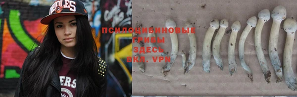 герыч Каменка